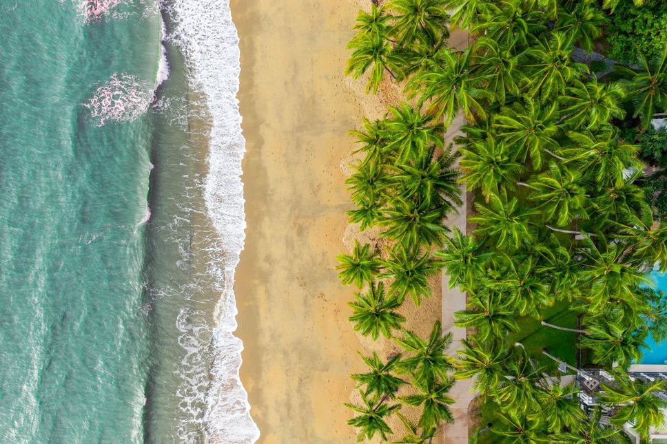 Aerial view of a tropical beach and palm treeline, light falling across the water