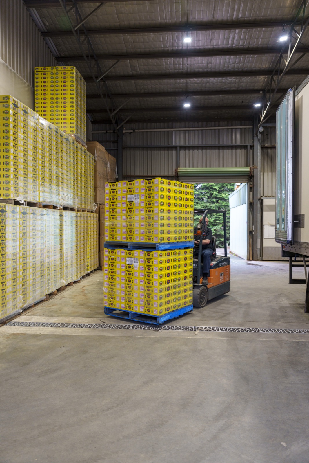 Stacked produce crates and a forklift in a cold storage warehouse