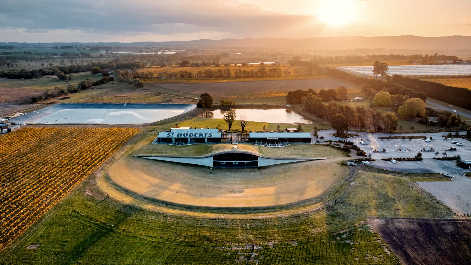Aerial view of a winery and its vineyard rows at sunset