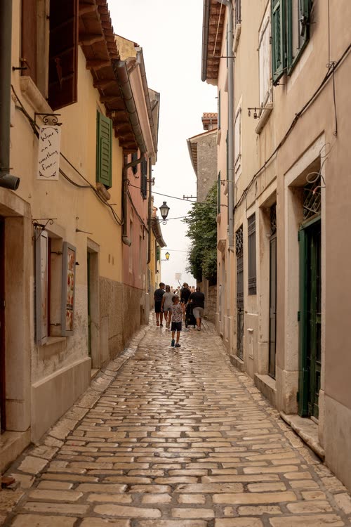 A cobbled alley climbing between shuttered houses in Rovinj, Croatia