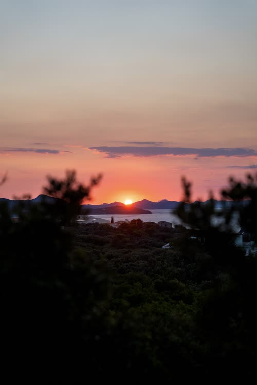 The sun setting behind the Adriatic islands seen through pines, Croatia