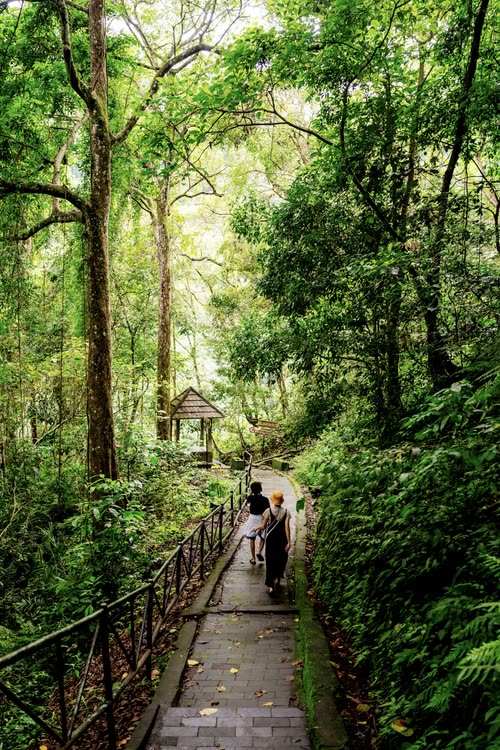 Walkers on a paved jungle path leading to the waterfalls, Lombok