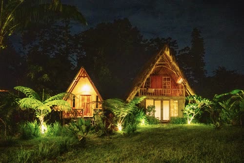 Lit A-frame cabins among tree ferns in the Indonesian highlands at night