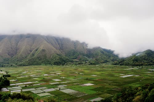 Terraced rice fields below a mountain ridge wrapped in low cloud, Indonesia