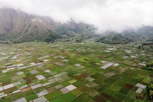 Aerial view of a patchwork of rice fields below cloud-covered mountains, Lombok
