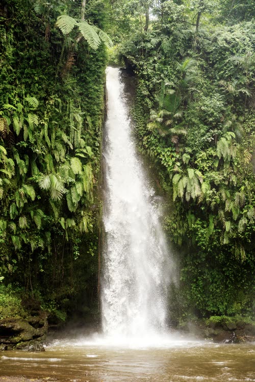 A narrow waterfall dropping through thick jungle into a pool, Lombok