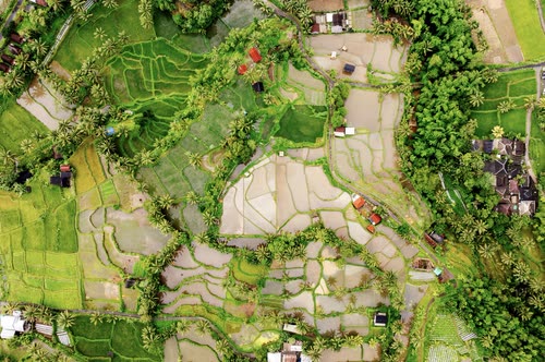 Aerial view straight down over flooded rice terraces and village plots, Indonesia