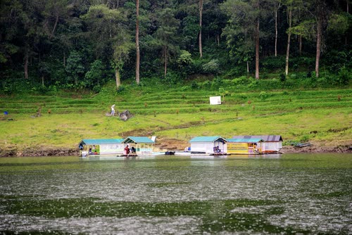 Floating fish farm platforms on a lake below forested slopes, Indonesia