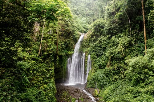 A waterfall dropping through a steep jungle gorge in Lombok