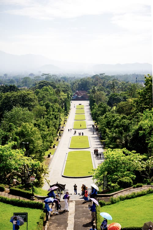 The long tree-lined approach to Borobudur seen from the temple, Java