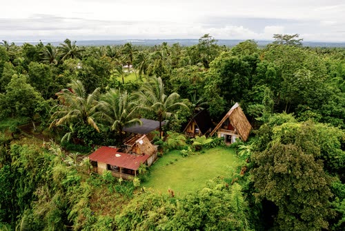 Aerial view of timber cabins set in dense palm jungle, Indonesia