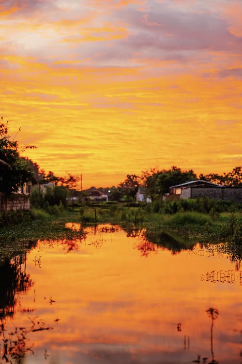 An orange sunset reflected in a still flooded paddy field, Indonesia