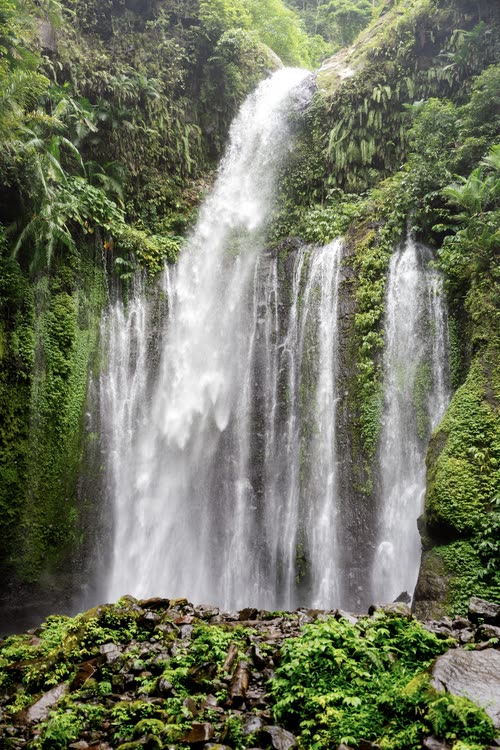 A tall waterfall falling through dense green jungle in Indonesia