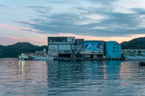 Fishing harbour buildings with a mural of a whale, reflected in still water at dusk