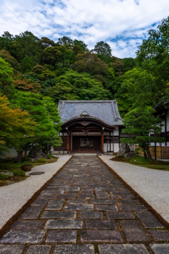 The stone flagged approach to a temple gate under a canopy of summer green