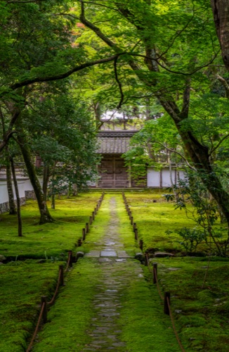 A moss lined path leading to a thatched temple gate under maples