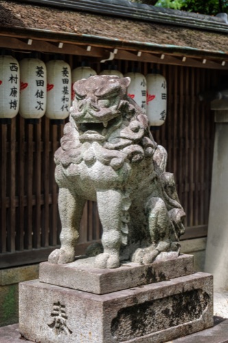 A stone komainu lion beneath paper lanterns at a shrine gate