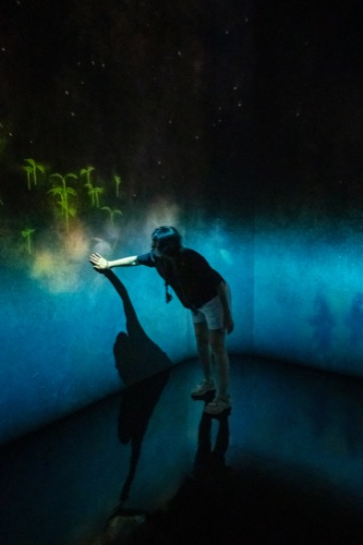 A visitor reaching into a wall of projected light in a dark immersive art room