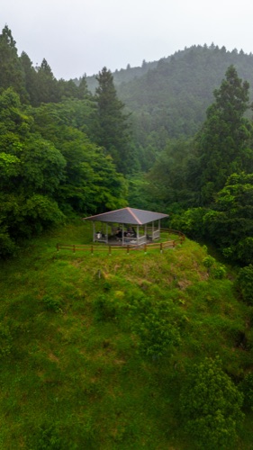 A small timber shelter on a grassed hilltop clearing, ringed by cedar forest, from the air
