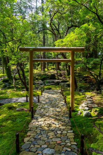 A small timber torii over a pebble path in a moss garden