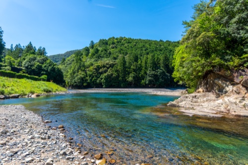 A clear river running over pale stones between forested banks under blue sky