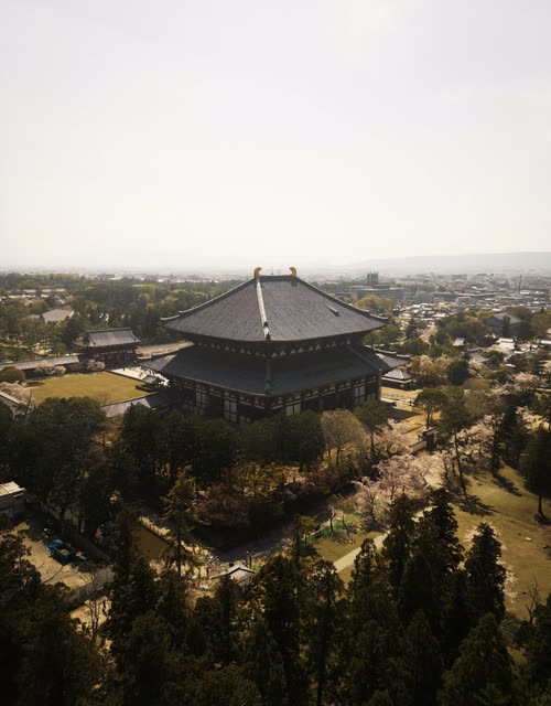 Aerial view of a large wooden temple hall and its tiled roof among cedar trees