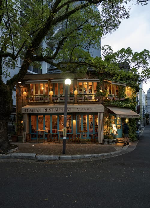 A warmly lit corner restaurant beneath a spreading street tree at dusk