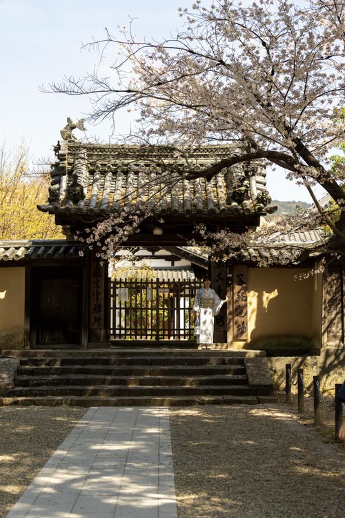 A temple gate framed by cherry blossom at the top of a stone path