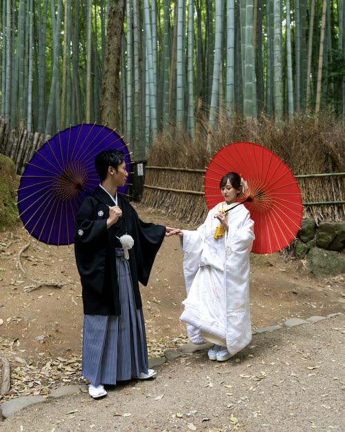 A couple in traditional wedding dress holding paper parasols in the Arashiyama bamboo grove
