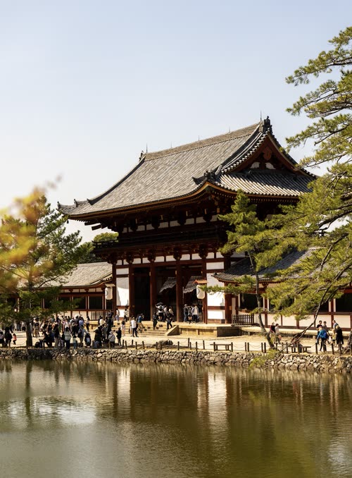 A temple hall with a sweeping tiled roof standing above a still pond