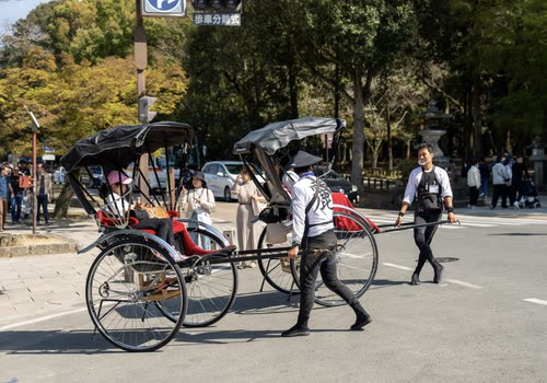 A rickshaw driver pulling passengers along a tree-lined Kyoto street