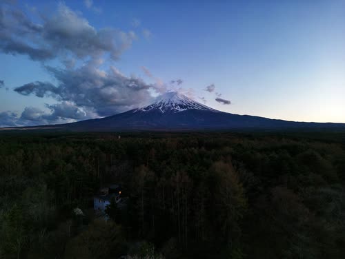 Mount Fuji at dusk rising above dark forested foothills