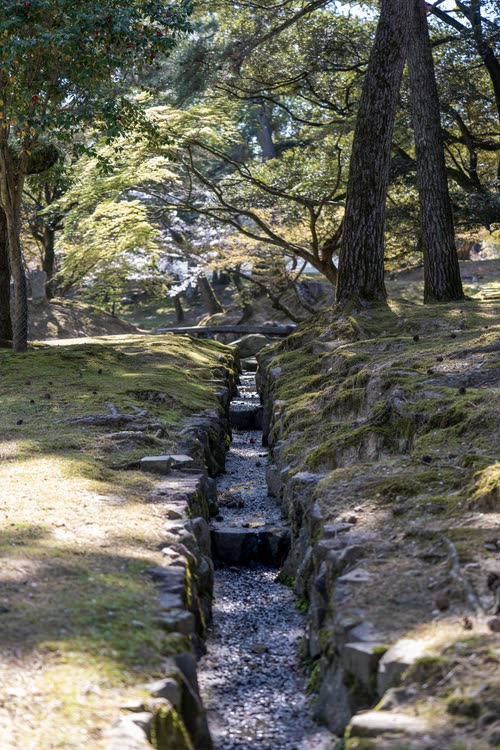 A stone-lined stream running through the dappled woodland of Nara Park