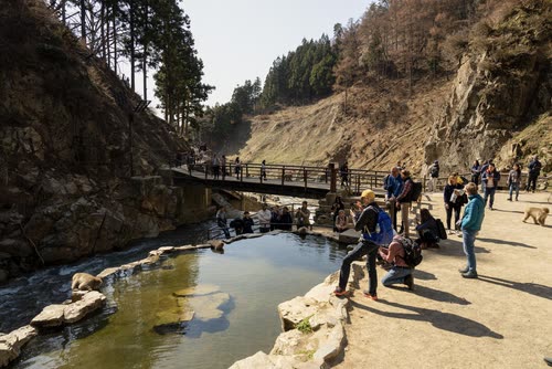 Visitors gathered around the steaming hot spring pool at Jigokudani Monkey Park