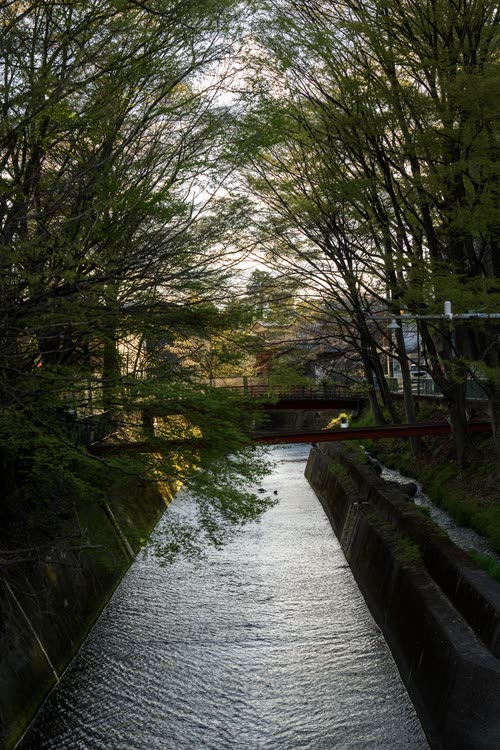 A narrow canal running between wooded banks in a Japanese town