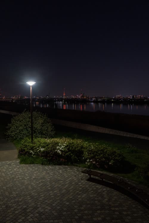 A single lamp lighting a waterfront park path at night, city lights across the bay