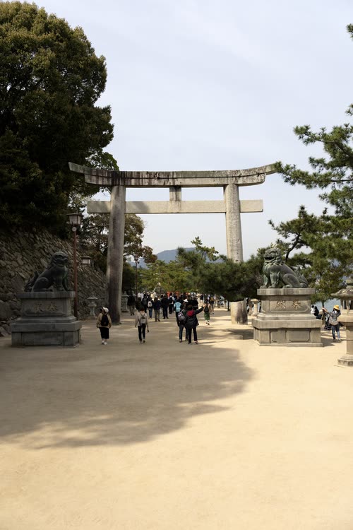 A stone torii and guardian lion-dogs at the entrance to a shrine approach