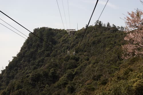 The ropeway cables running up the forested slopes of Mount Misen, Miyajima