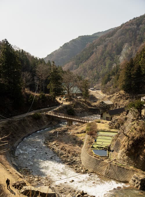A steep forested valley with a hot spring stream running through its floor