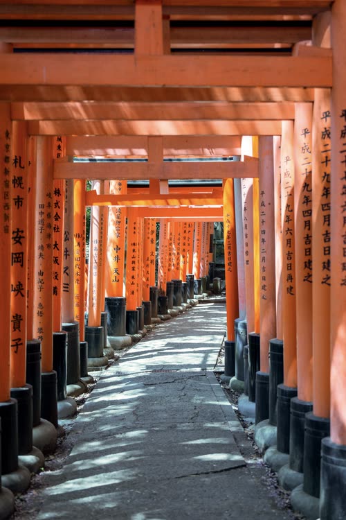 The inscribed pillars of the torii tunnel at Fushimi Inari, Kyoto