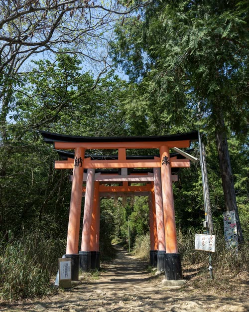 A weathered torii gate marking a trail head in overgrown woodland