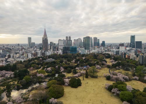Aerial view across cherry blossom parkland to the Shinjuku skyline, Tokyo