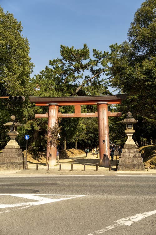 A vermilion torii gate standing at a roadside shrine entrance