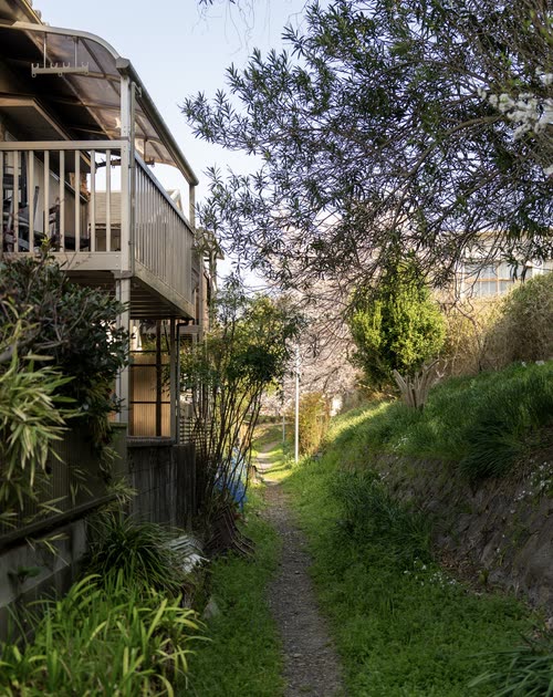 A narrow overgrown path running behind houses on a hillside at dusk
