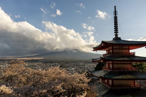The Chureito Pagoda above cherry blossom with Mount Fuji beyond