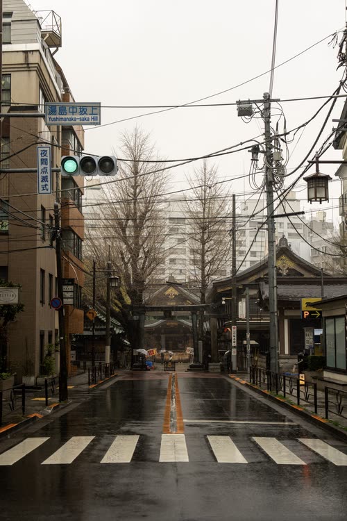 A quiet residential Tokyo street after rain, crossing lines reflecting the wet asphalt