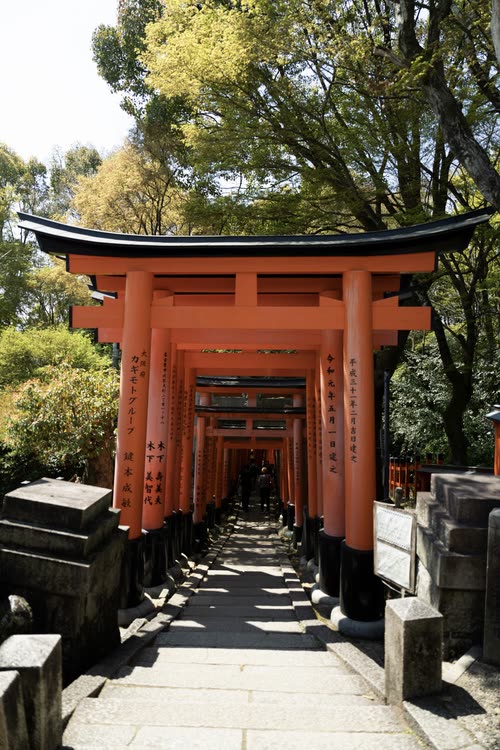 Stone steps climbing beneath the torii gates of Fushimi Inari, Kyoto