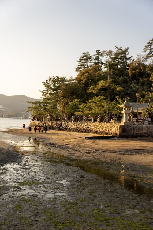 The shoreline and shrine buildings of Miyajima at low tide in the late afternoon