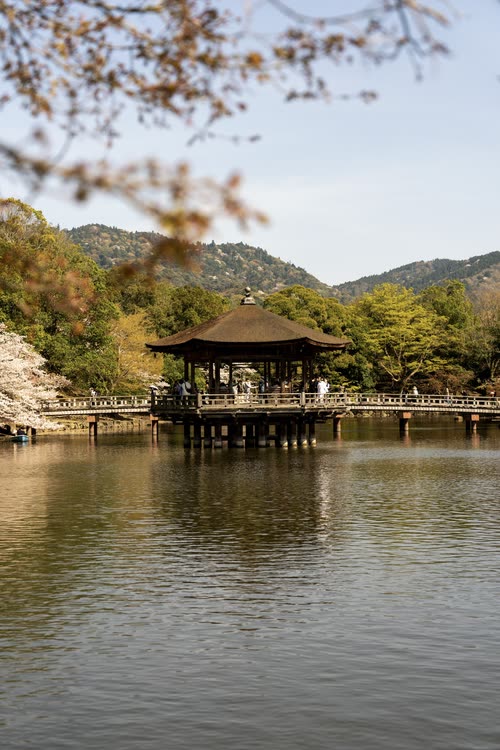 A wooden pavilion standing out over a lake, framed by cherry branches