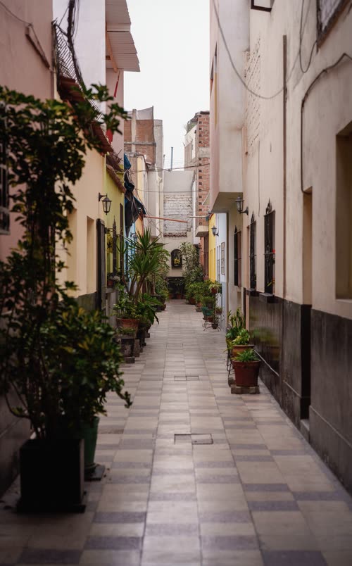 A narrow tiled alley lined with potted plants between colonial buildings